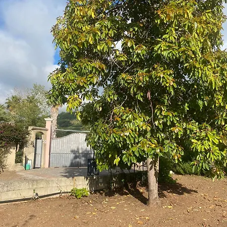 게스트하우스 Florio Parghelia *