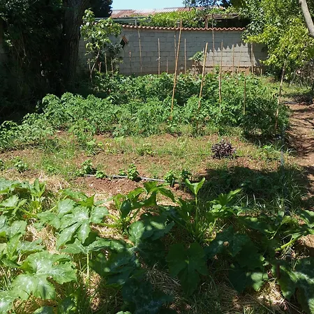 Florio Parghelia ゲストハウス Fitili