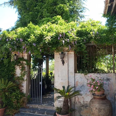 Florio Parghelia 게스트하우스 *