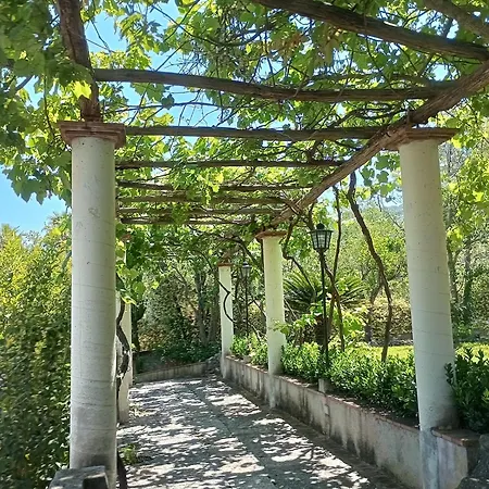 Konukevi Florio Parghelia Fitili